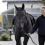 Estancja 4*