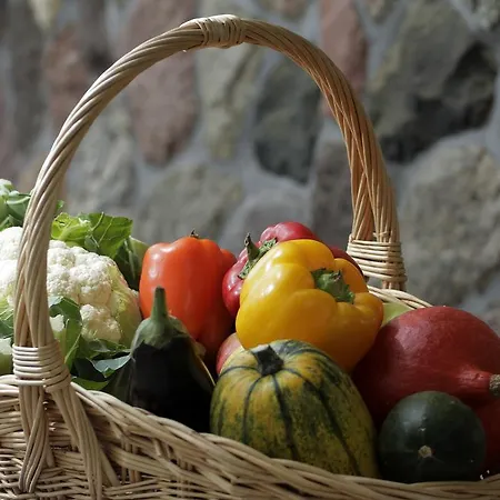 Estancja Nocleg ze śniadaniem Mezowo