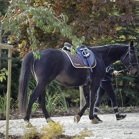 Estancja Bed & Breakfast Mezowo