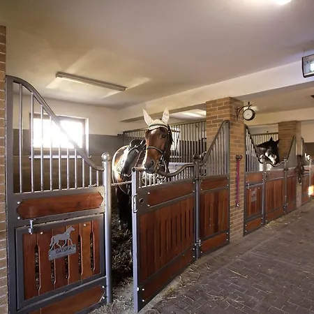 Bed & Breakfast Estancja Mezowo