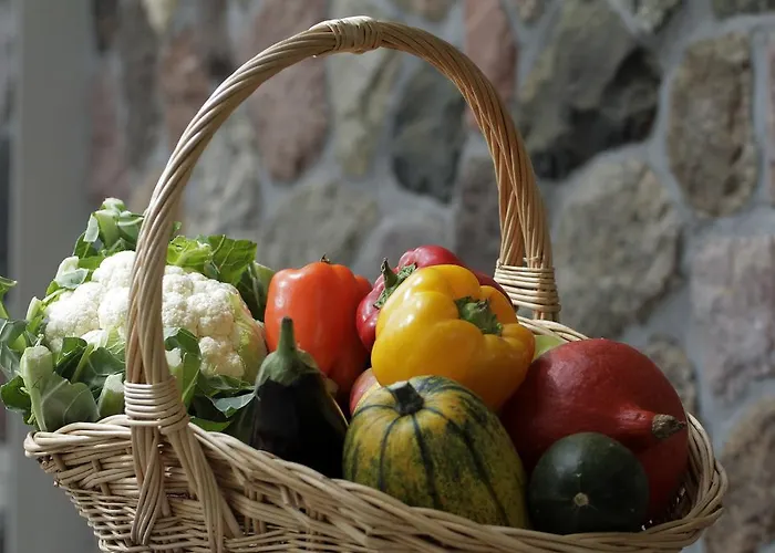 Estancja Bed & Breakfast Mezowo