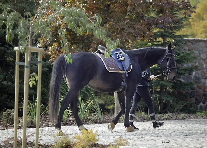 Estancja Couette-café Mezowo