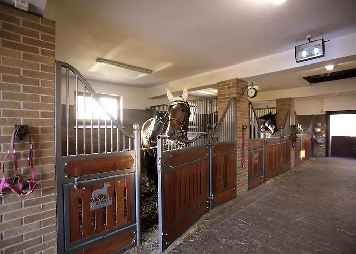 Couette-café Estancja Mezowo