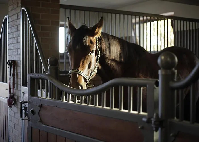 Bed & Breakfast Estancja