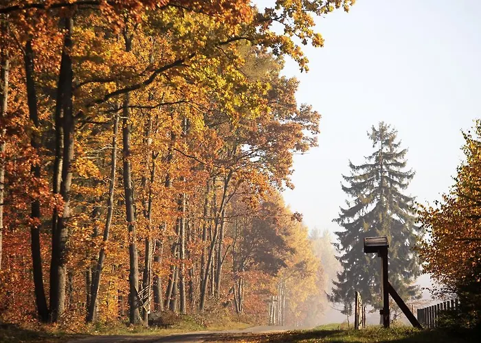 Bed & Breakfast Estancja