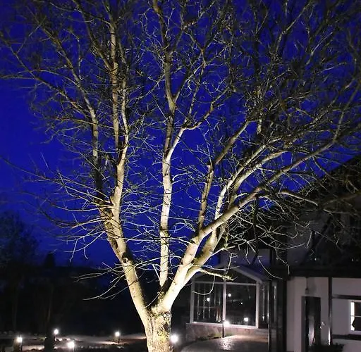 Couette-café Estancja Mezowo